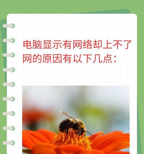 如何解决以网线连接电脑IP地址错误的问题
