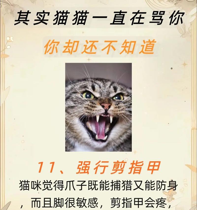解决电脑直接连接猫错误551的方法与技巧（排除电脑直接连接猫错误551的常见问题和解决办法）
