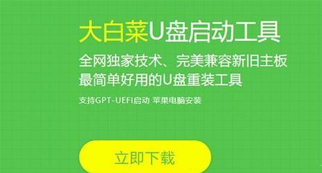 电脑U盘大白菜教程（轻松学习使用U盘的技巧与方法）