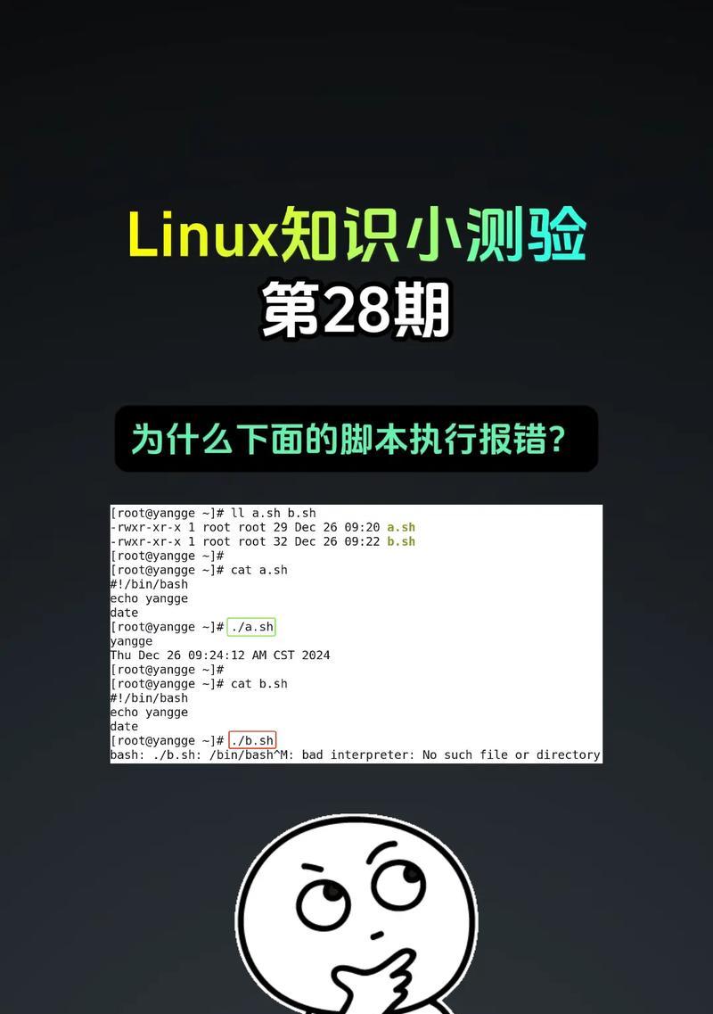 电脑频繁显示脚本错误6的原因及解决办法（探索脚本错误6的根源，帮助您解决电脑问题）
